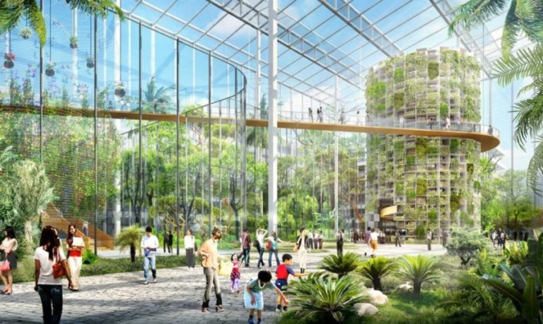 La granja urbana más grande del mundo llega a una azotea de París