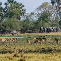 Parque Nacional Liwonde Malawi