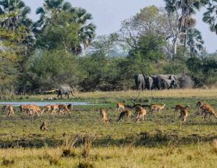 Parque Nacional Liwonde Malawi