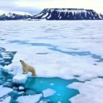 Svalbard Aurora Boreal