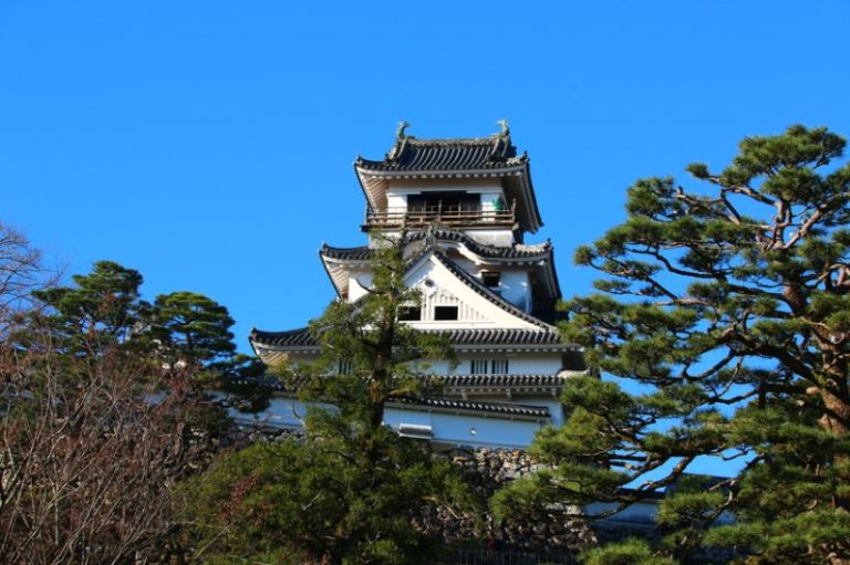 castillo japon 2020