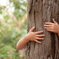 Abrazar arbol terapia