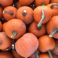 Calabaza