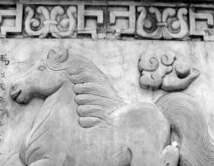 Horoscopo Chino 2020