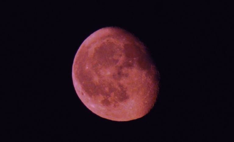 Luna rosa 2020