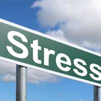 Stress 2020