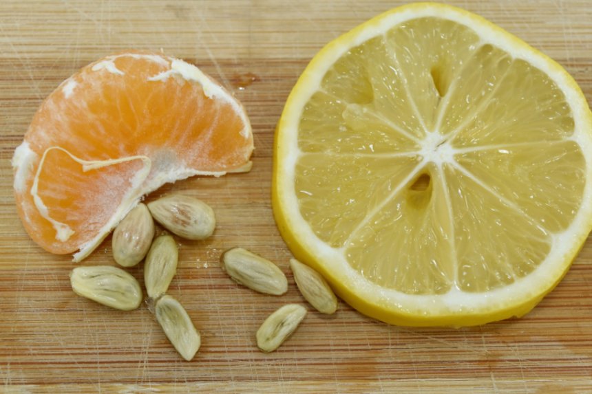 limon mandarina