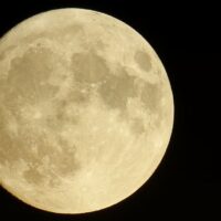 luna-terrestre