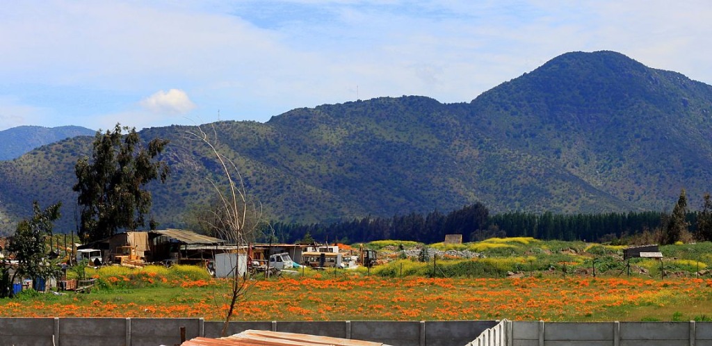 rancagua ciudad chile